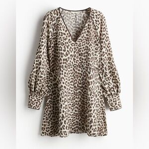 H&M Leopard Print Mini Dress